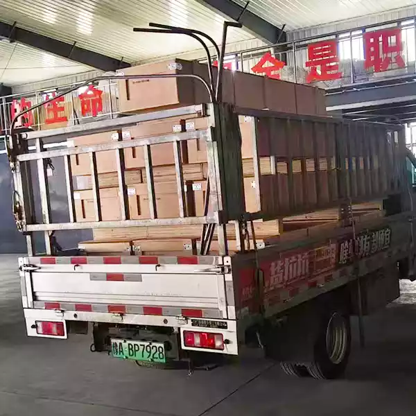 1000 elementos de aquecimento e acessórios mosi₂ enviados para o Canadá